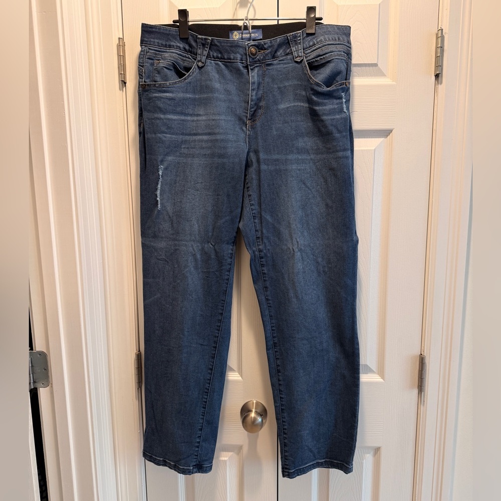 Democracy Indigo Denim Jeans 18W Straight Leg